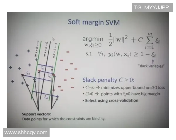 成都羽毛球队技术解析：从基础训练到比赛策略的全面探讨